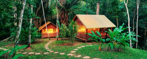 At Chaa Creek Resort in Belize, you can go glamping in the jungle. 5 star amenities are within reach, but there is not electricity in your cabin, so your phone won't be sharing those Instagram updates of Christmas bliss onto your feed!